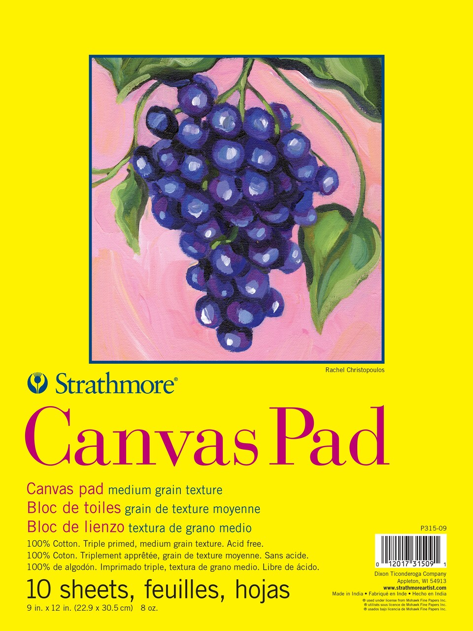 Strathmore 300 Series Canvas Pad 9"X12"-10 Sheets. Tape Bound